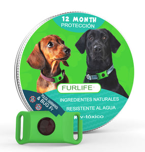 FurLife™ 12 meses libre de pulgas y garrapatas